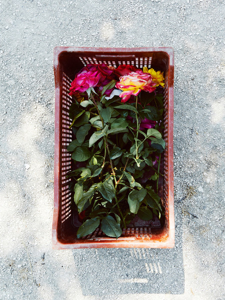 Photo Thomas Chéné