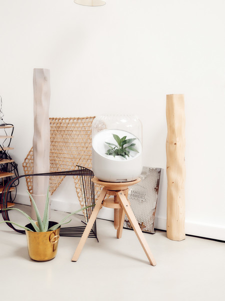 Photo Thomas Chéné