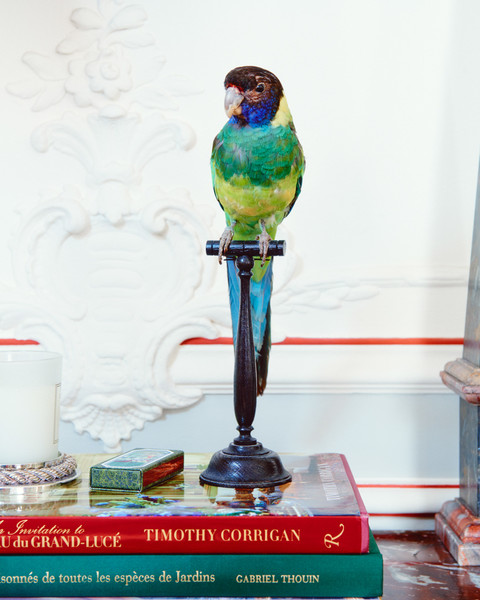 Photo Thomas Chéné