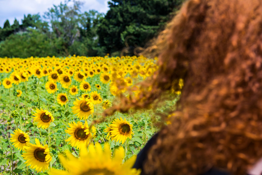 Photo Pascal Dolémieux