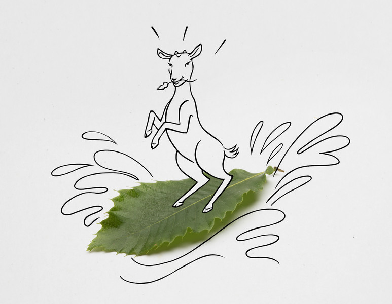 Photo Frédérique Vayssières