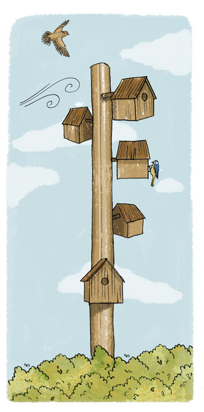 Photo Clémence Monot