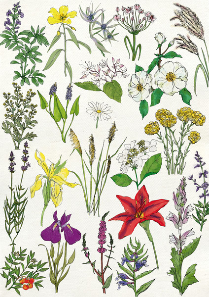 Photo Clémence Monot