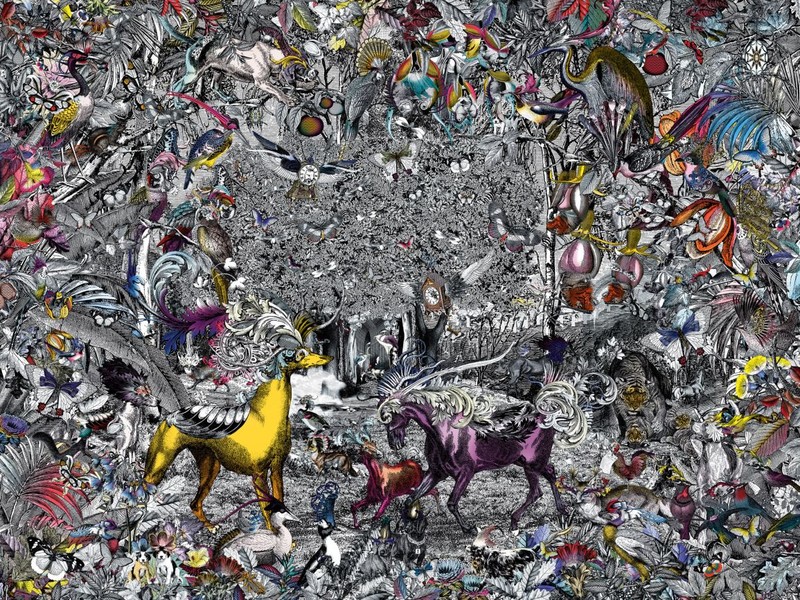 Photo Kristjana S Williams