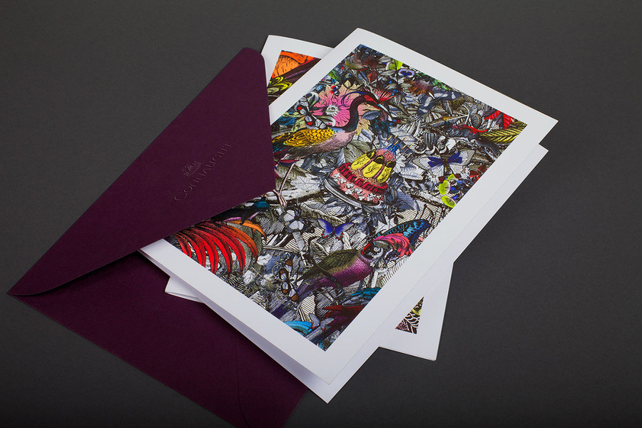 Photo Kristjana S Williams