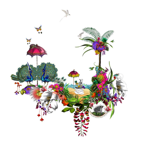 Photo Kristjana S Williams