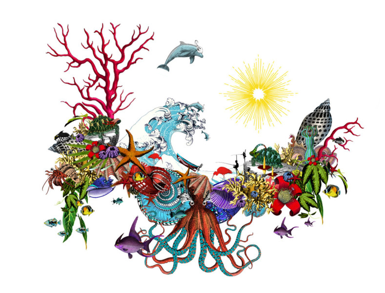 Photo Kristjana S Williams