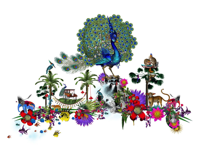 Photo Kristjana S Williams