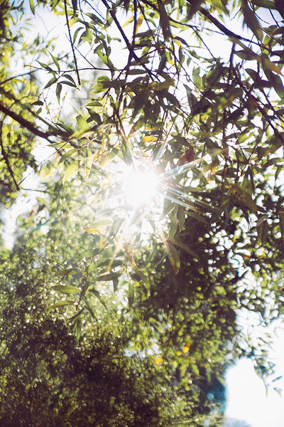 Photo Nastasia Dusapin