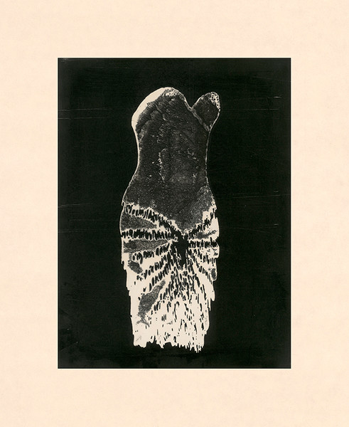 Photo Aurore de La Morinerie