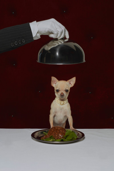 Photo  Lebonbourgeois