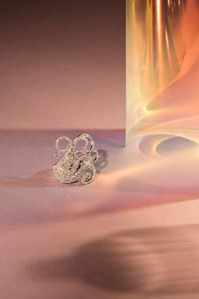 Photo Carmen Mitrotta