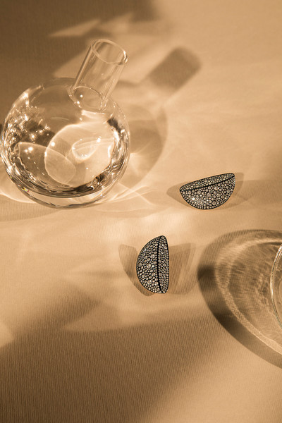 Photo Carmen Mitrotta