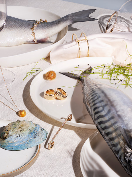 Photo Patrice de Villiers