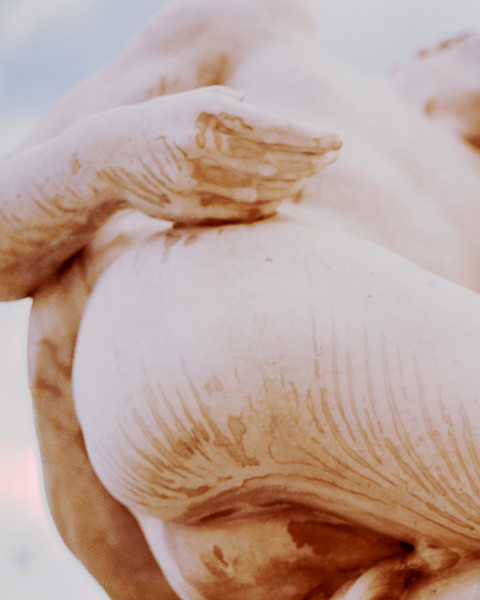 Photo Matthieu Delbreuve