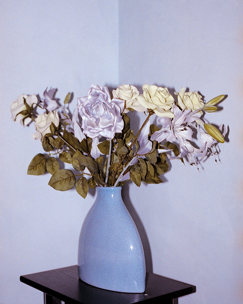 Photo Matthieu Delbreuve