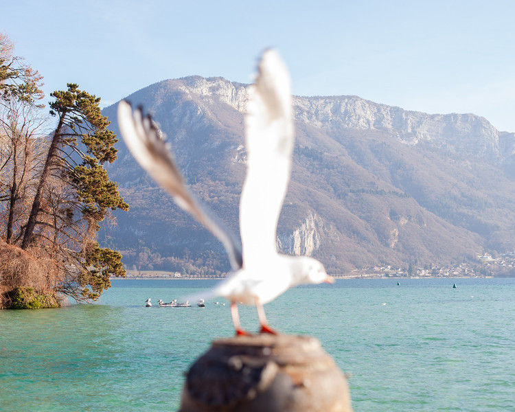 Photo Fred de Gasquet