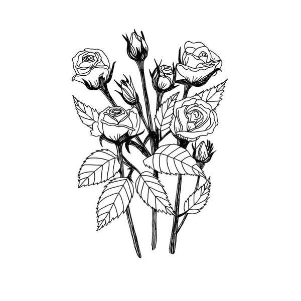 Photo Ophélie Dhayere