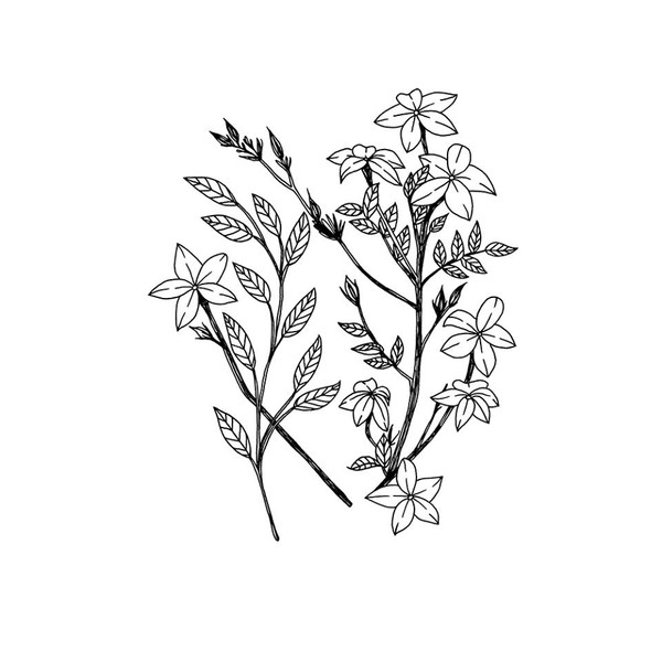 Photo Ophélie Dhayere