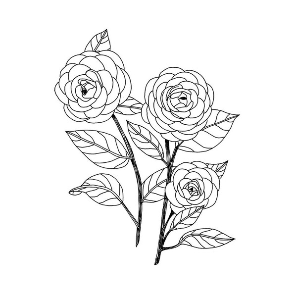 Photo Ophélie Dhayere