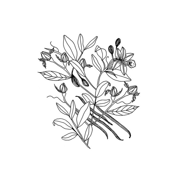 Photo Ophélie Dhayere