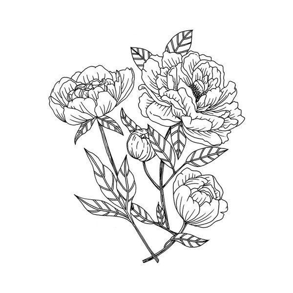 Photo Ophélie Dhayere