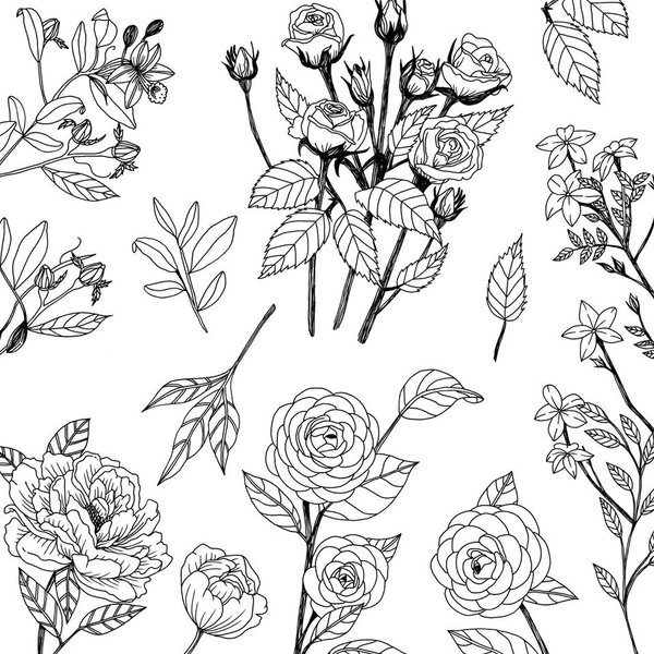 Photo Ophélie Dhayere