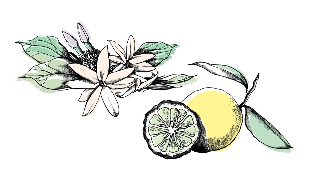 Photo Clémence Thienpont