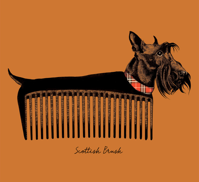 Photo Clémence Thienpont