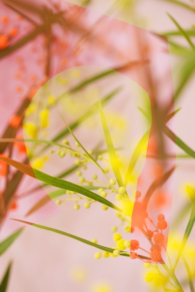 Photo OLIVIA FREMINEAU