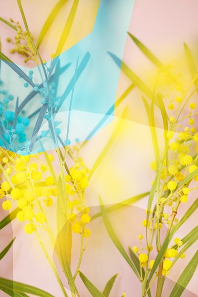 Photo OLIVIA FREMINEAU