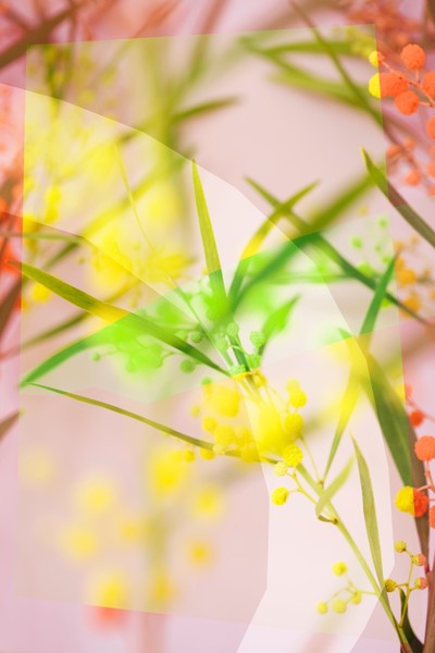 Photo OLIVIA FREMINEAU