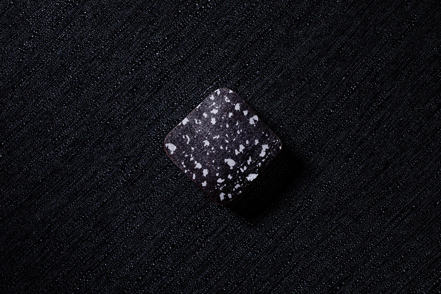 Photo Vittorio Bergamaschi