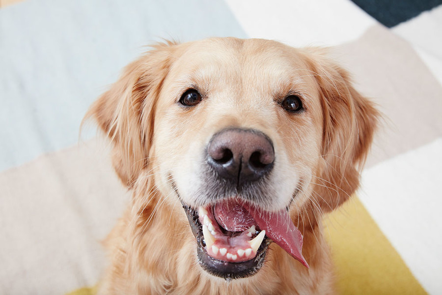 Photo Rebecka Oftedal