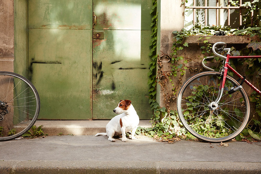 Photo Rebecka Oftedal