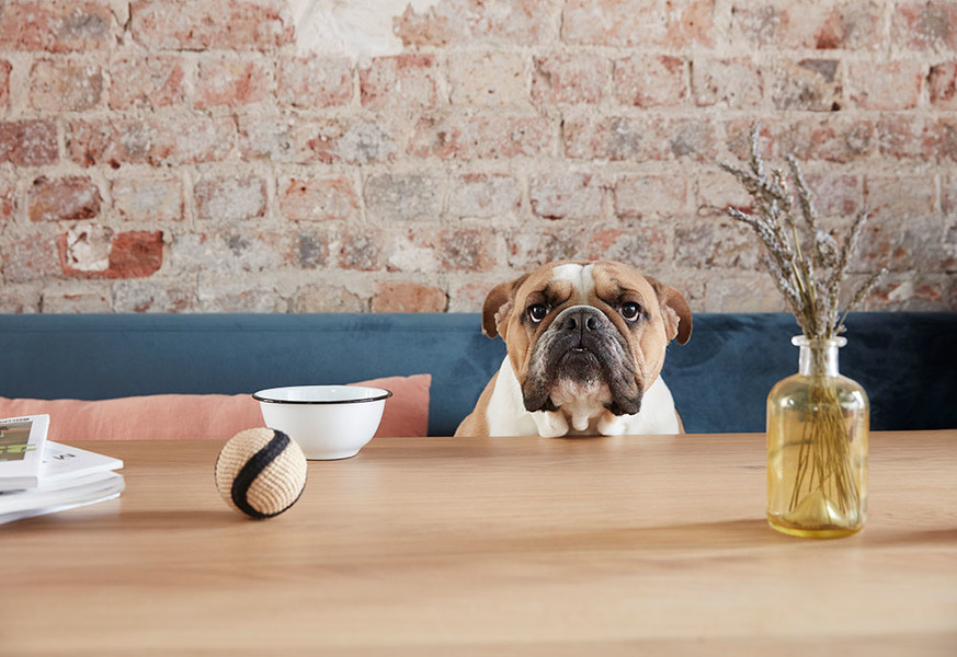 Photo Rebecka Oftedal