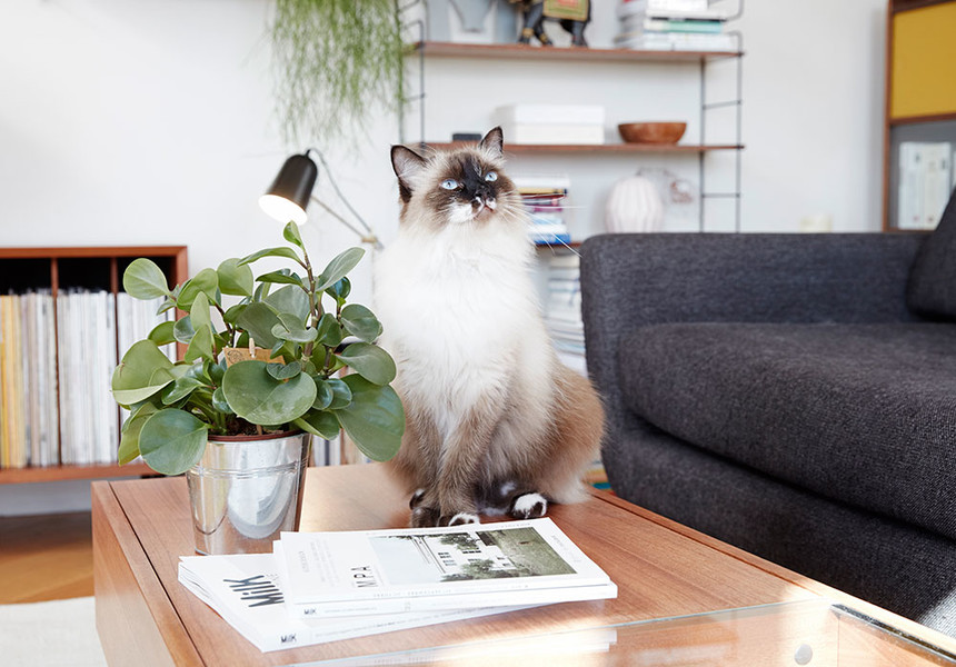 Photo Rebecka Oftedal