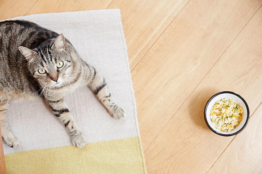 Photo Rebecka Oftedal