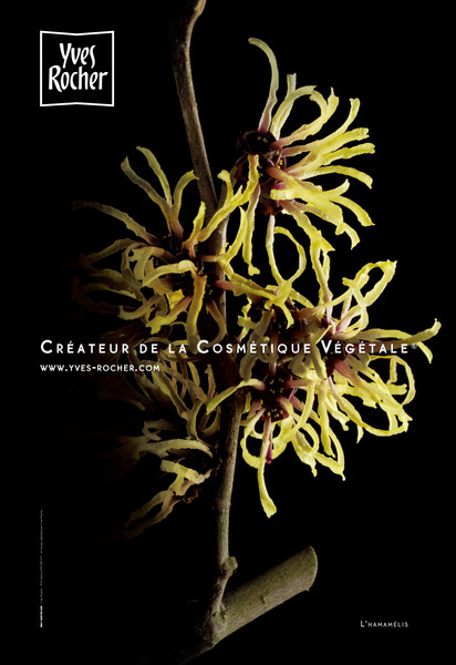 Photo Cedric Porchez