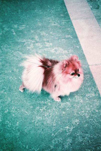 Photo Victoire Seveno