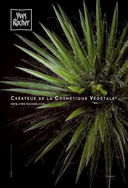 Photo Cedric Porchez