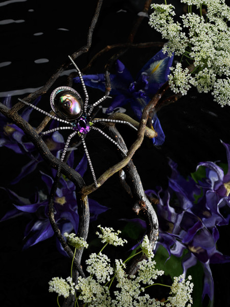 Photo Clément Halborn