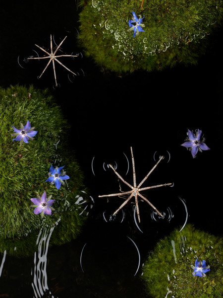 Photo Clément Halborn