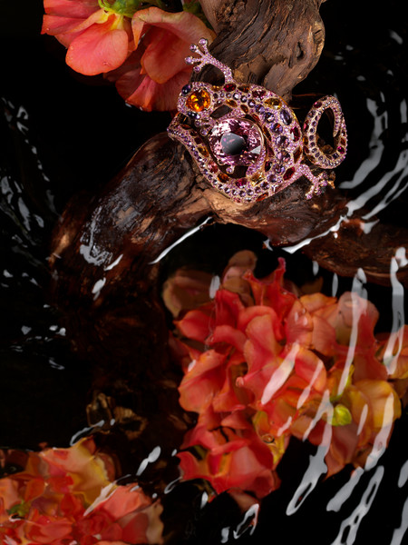 Photo Clément Halborn