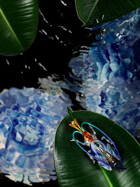 Photo Clément Halborn