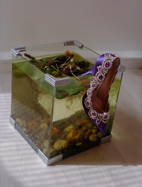 Photo Michelle Du Xuan