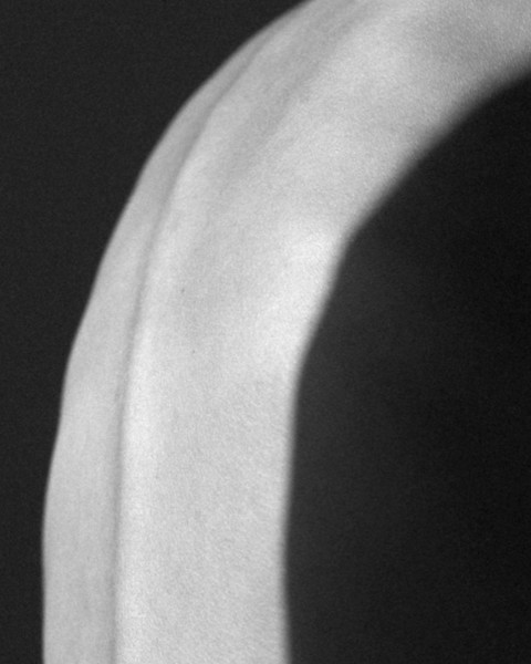 Photo Laurent Castellani