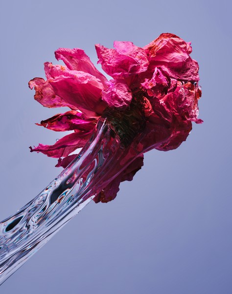 Photo Benjamin Henon