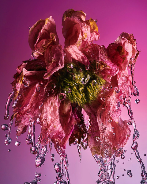 Photo Benjamin Henon