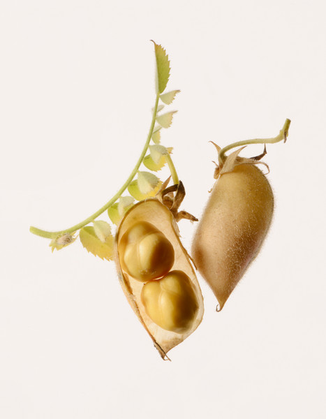 Photo Patrice de Villiers